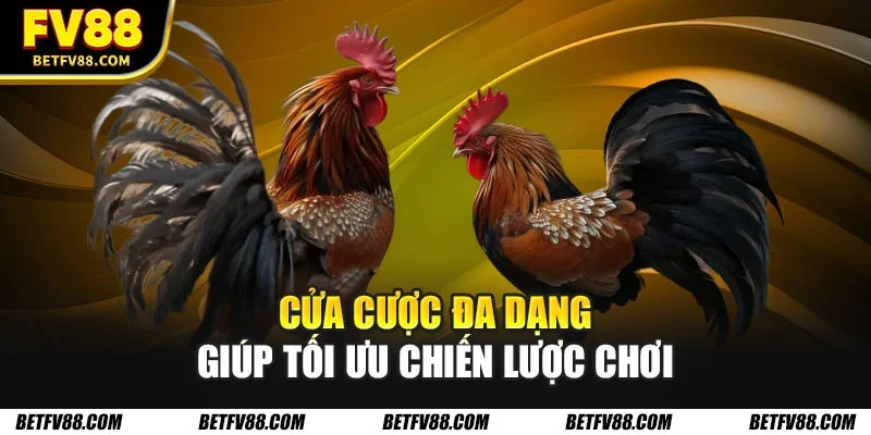 Hướng Dẫn Cá Cược Đá Gà Online Cho Người Mới Bắt Đầu FV88 2 Cửa cược đa dạng giúp tối ưu chiến lược chơi