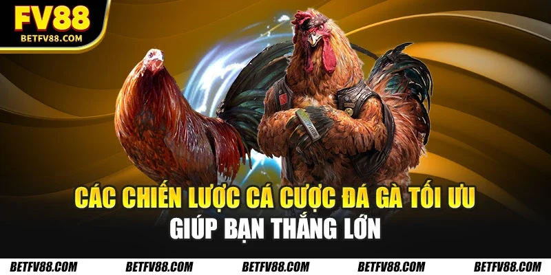 Chiến lược cá cược đá gà