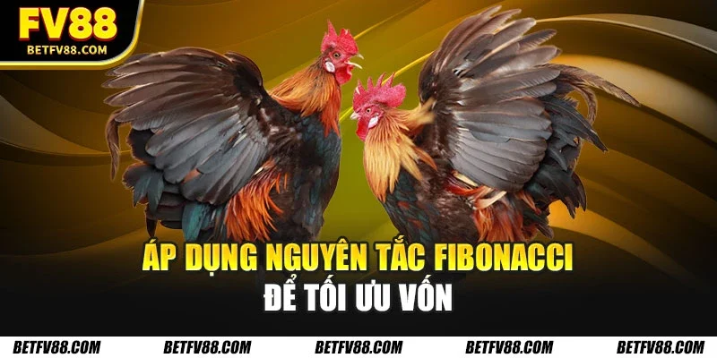 Các Chiến Lược Cá Cược Đá Gà Tối Ưu Giúp Bạn Thắng Lớn Fv88 2 Áp dụng nguyên tắc Fibonacci để tối ưu vốn