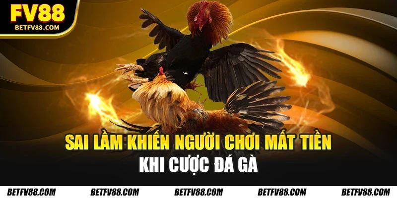 Các Chiến Lược Cá Cược Đá Gà Tối Ưu Giúp Bạn Thắng Lớn Fv88 3 Sai lầm khiến người chơi mất tiền khi cược đá gà