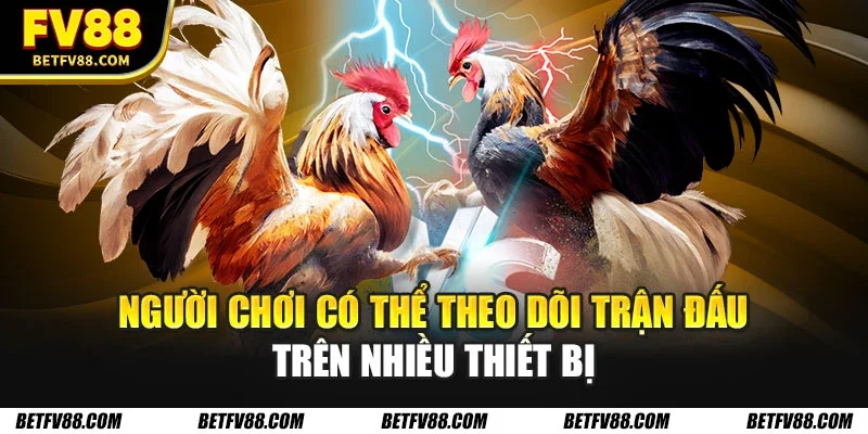Người chơi có thể theo dõi trận đấu trên nhiều thiết bị