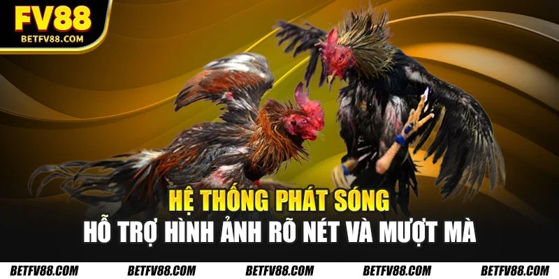 Hệ thống phát sóng hỗ trợ hình ảnh rõ nét và mượt mà