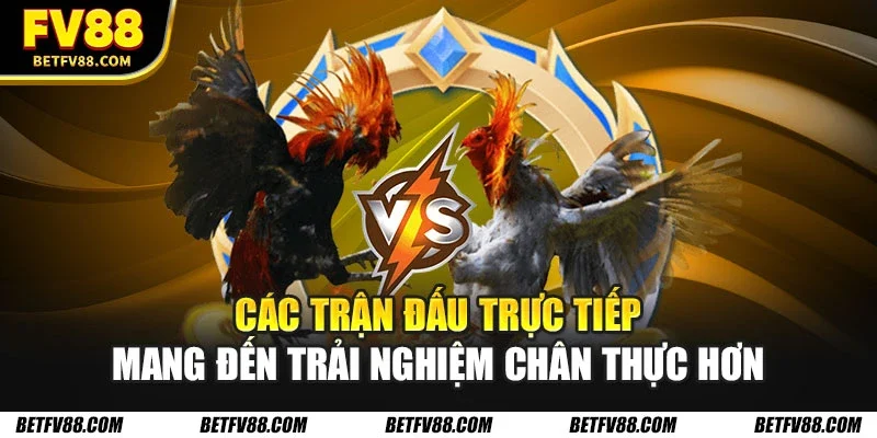 Các trận đấu trực tiếp mang đến trải nghiệm chân thực hơn