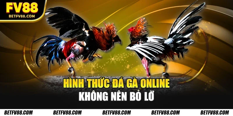 Đá Gà Trực Tuyến - Những Thể Loại Bạn Không Thể Bỏ Qua 3 Hình thức đá gà online không nên bỏ lỡ