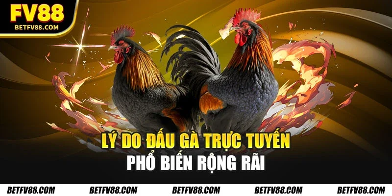 Đá Gà Trực Tuyến - Những Thể Loại Bạn Không Thể Bỏ Qua 2 Lý do đấu gà trực tuyến phổ biến rộng rãi