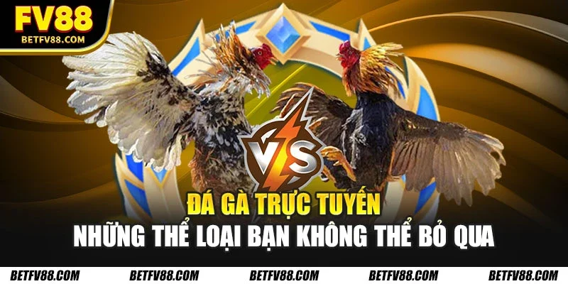 Đá Gà Trực Tuyến