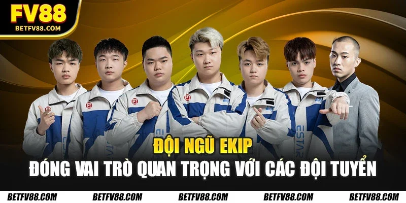 Các đội tuyển E-Sports Hàng Đầu Và Thành Tích Ấn Tượng 2026 1 Đội ngũ ekip đóng vai trò quan trọng với các đội tuyển
